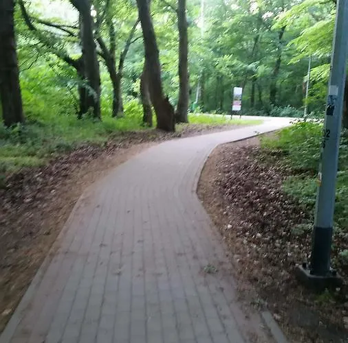 Morskie Polanki Appartement *