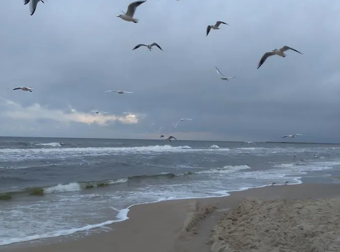 アパート Morskie Polanki *