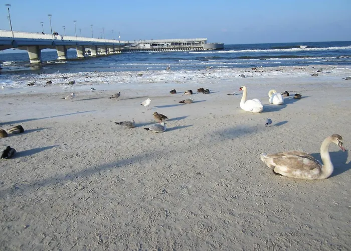 Morskie Polanki アパート コウォブジェク